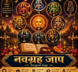 WhatsApp Image 2026-05-16 at 7.45.07 PM (11)