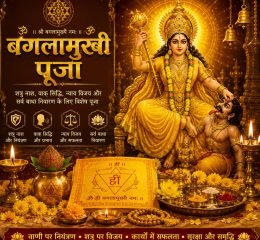 WhatsApp Image 2026-05-16 at 7.45.07 PM (13)