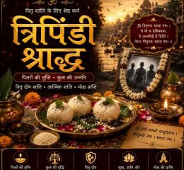 WhatsApp Image 2026-05-16 at 7.45.07 PM (14)