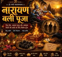 WhatsApp Image 2026-05-16 at 7.45.07 PM (15)