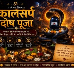 WhatsApp Image 2026-05-16 at 7.45.07 PM (18)