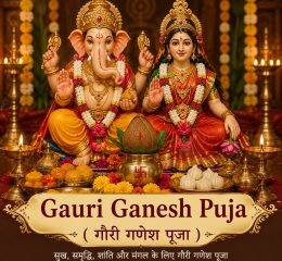 WhatsApp Image 2026-05-16 at 7.45.07 PM (7)
