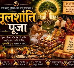 WhatsApp Image 2026-05-16 at 7.45.08 PM (2)
