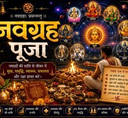 WhatsApp Image 2026-05-16 at 7.45.08 PM (5)